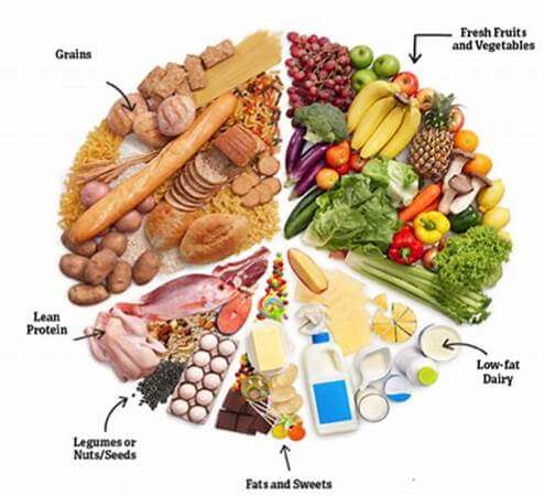 Importance of Nutrition