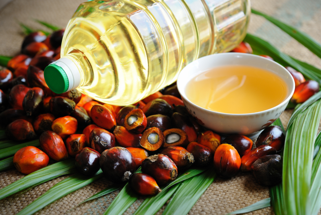 worst cooking oil for health