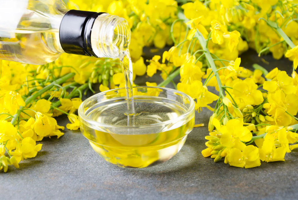 worst cooking oil for health