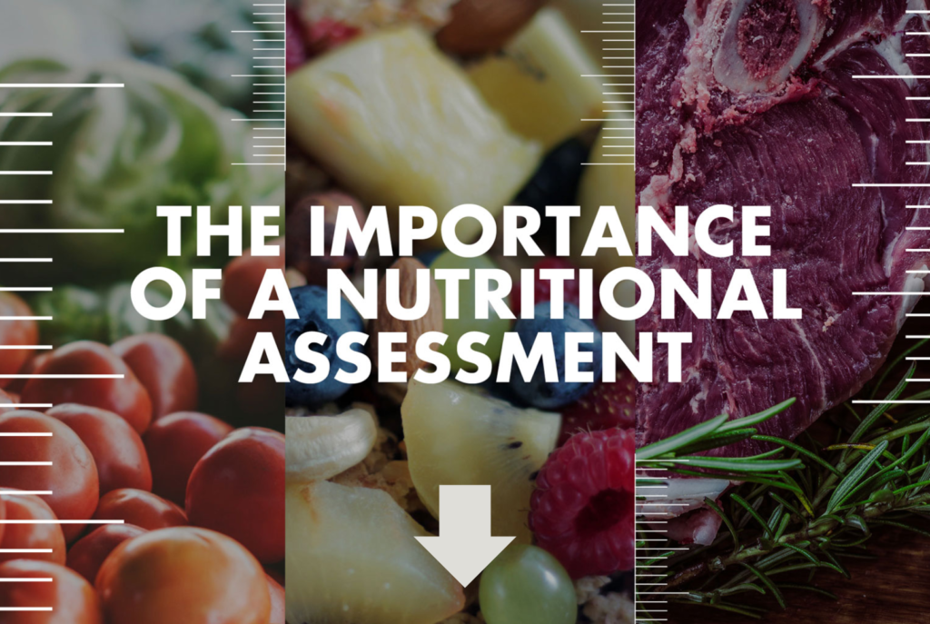 importance of nutritional assessment