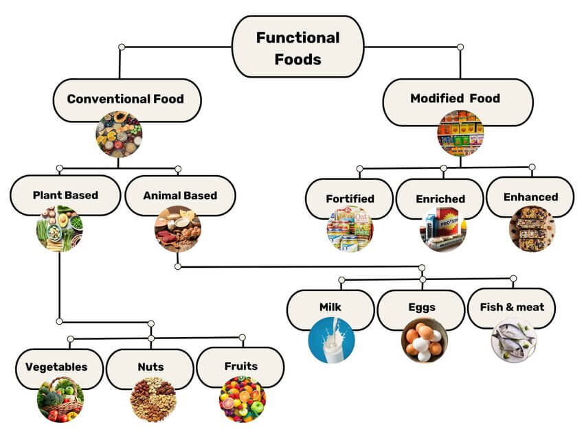 Classification of Functional Foods with Incredible Health Benefits