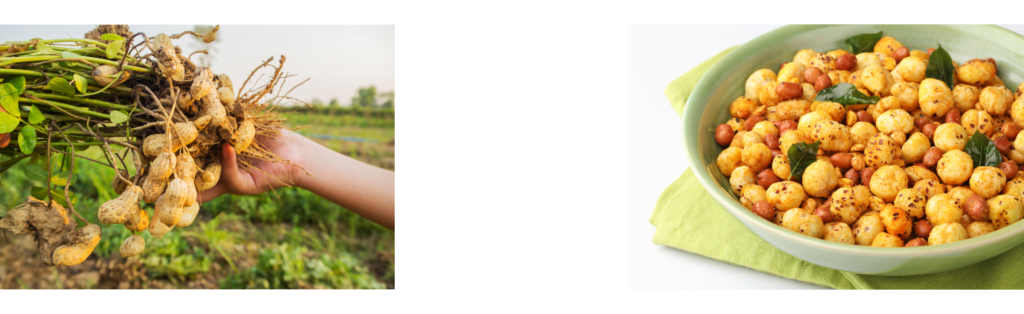 healthy snack for weight loss