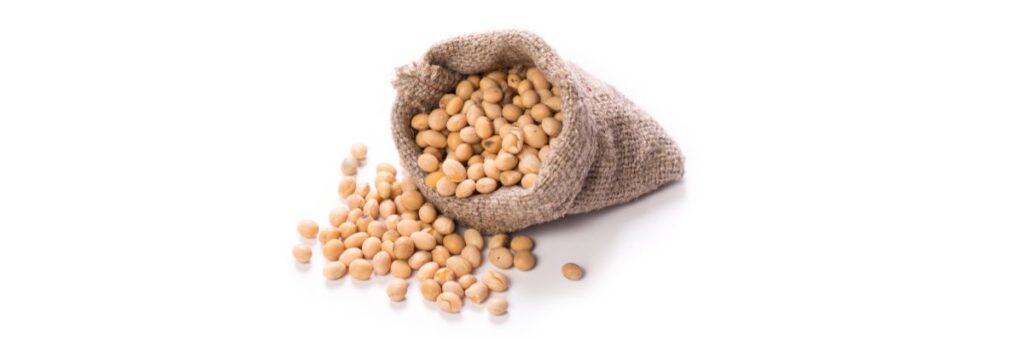 Soya beans in a jute bag for protein-rich breakfasts and a health boost