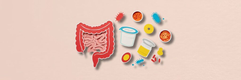 Illustration of gut with probiotics and digestive friendly foods showing foods for better digestion after meals
