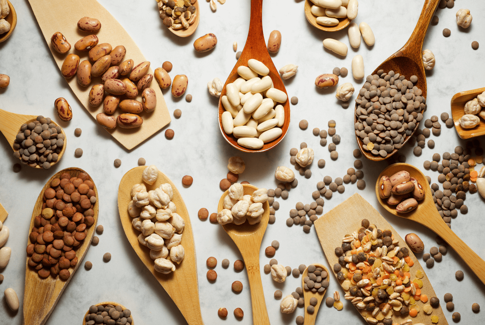 Assorted lentils, chickpeas, and beans in wooden spoons on marble background, symbolizing plant protein sources