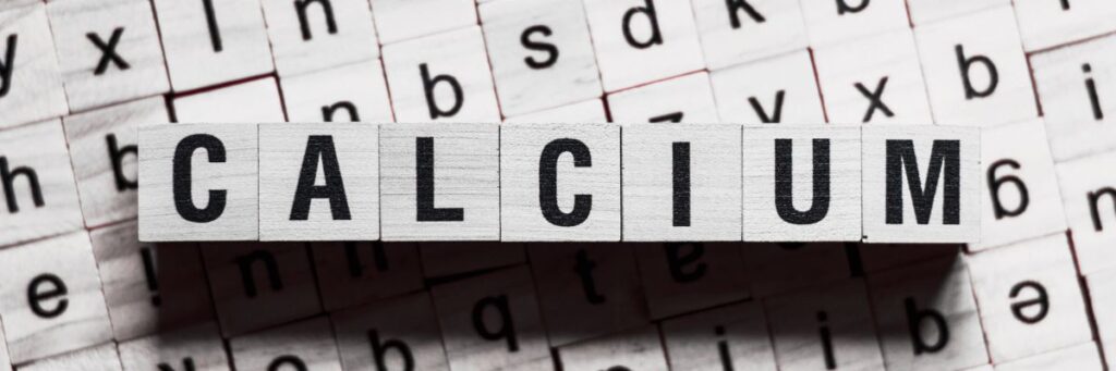 Calcium rich foods concept for strong bones